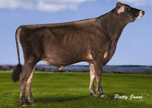 SANDCREEKS FRANKLIN 0200JE00237 SAMSON x TBONE GPA LPI +1928 PRO$ 1679 JH1F Rek #: JE840M3011509807 aaa: 315642 DMS: 126 Kappakaseiini: TUOTOS G Karjoja G Tyttäriä 59% arv.varm GPA 15*AUG 1759 88 0.