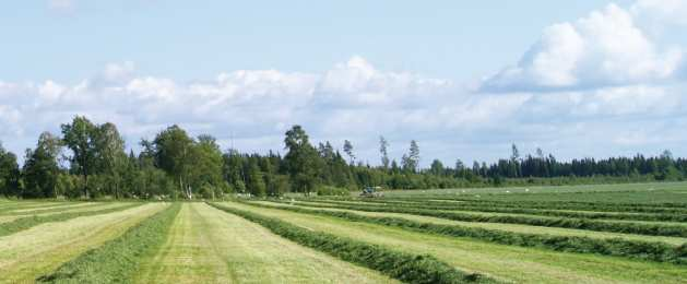 haittabakteerit lisääntyvät niin kauan kuin olosuhteet ovat niiden ominaisuuksille