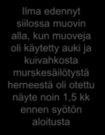 murskesäilötystä herneestä