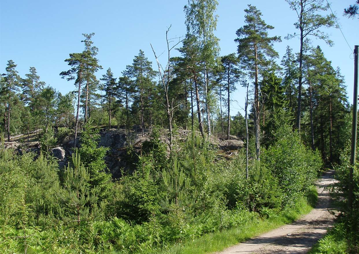 E2 Eriksnäs 2 asemakaava ja asemakaavan muutos E2 Eriksnäs 2 detaljplan och ändring av
