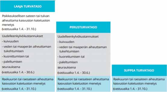 MITÄ SATOVAKUUTUKSESTA JA SEN TURVISTA KORVATAAN?