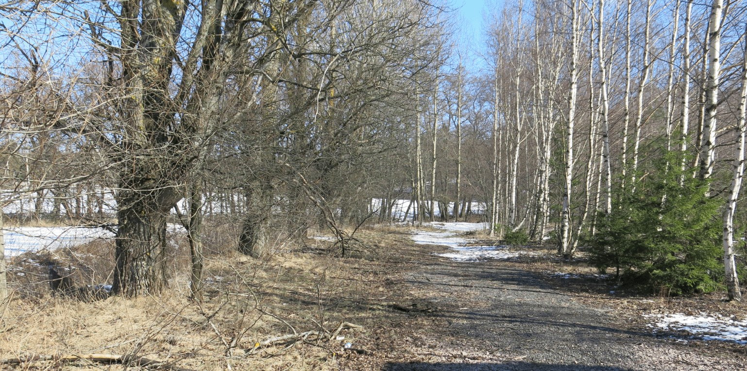 Alue on rakennettua ympäristöä. Suunniteltu uusi rakennus sijoittuu pysäköintialueena käytetylle alueelle. Ranta-alue on puustoinen (kohdan 3.11 ilmakuva).
