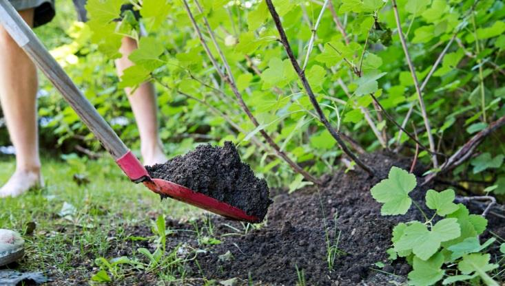 Lannoitteet Ravinteiden kierrätys olennainen osa kiertotaloutta Tarkoitukseensa räätälöidyt