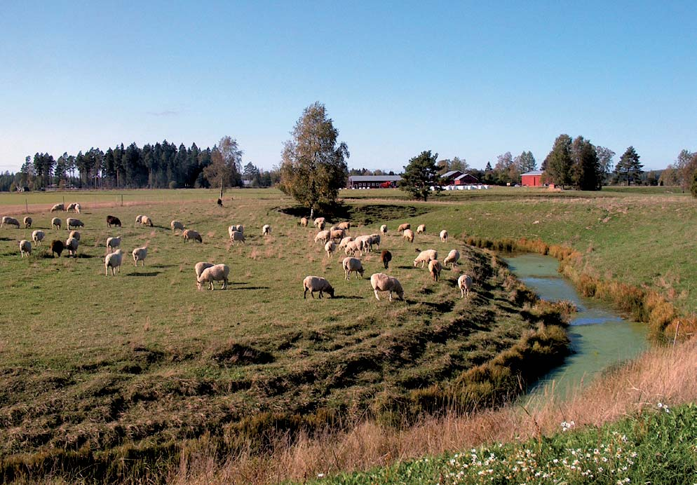 töitä, kun esimerkiksi sortuma- tai tulvaherkät alueet saadaan pois normaaliviljelystä.