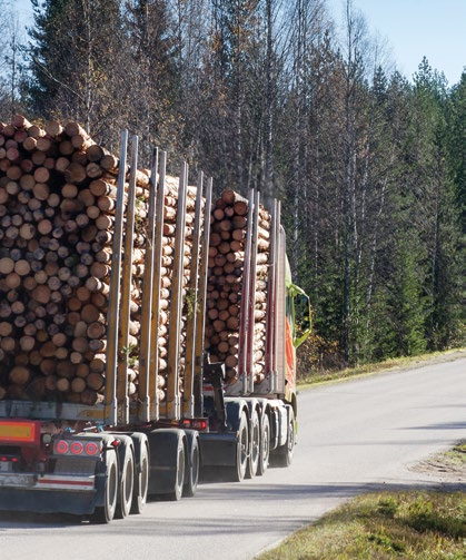 Sidosryhmät Lyhyesti Strategia Liiketoiminnot Hallinnointi Tilinpäätös UPM:n arvonluonti tuottaa myös verotuloja UPM:n veropolitiikan mukaisesti UPM maksaa yhteisöveroa maissa, joissa luodaan