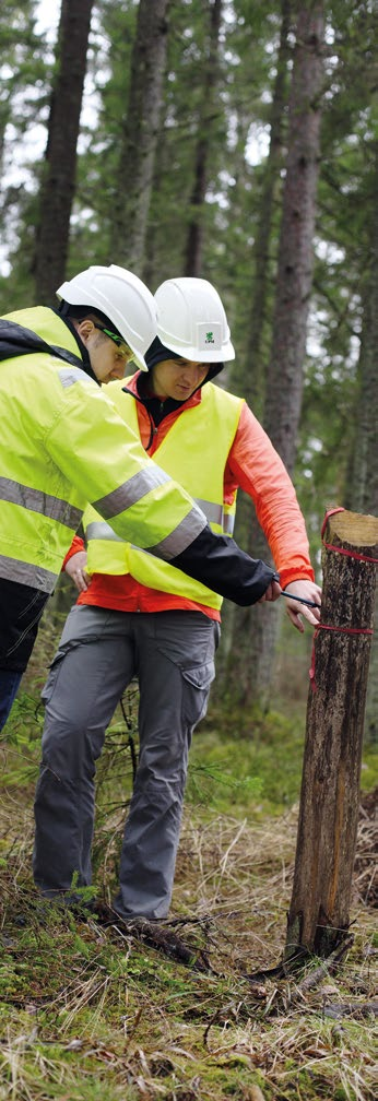 Sidosryhmät Lyhyesti Strategia Liiketoiminnot Hallinnointi Tilinpäätös Kestävä metsänhoito Uusiutuva puu on UPM:n tärkein raaka-aine.