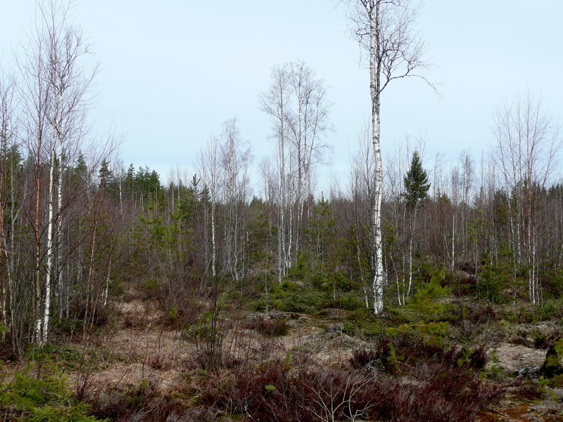 Voimalapaikat A F sinisenä tähtenä ; mk n. 1:20 000.