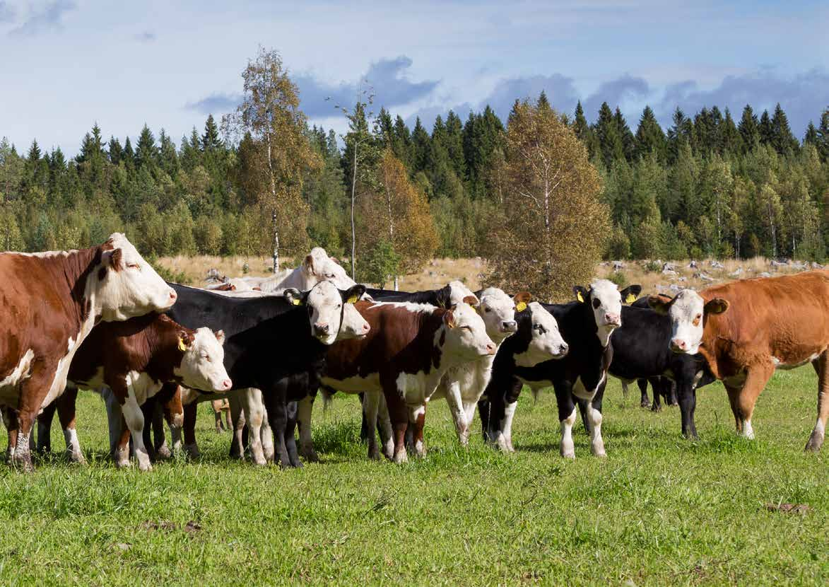 14 UUSI Q-SARJA ARJEN HELPOTUSTA Haluat käyttää kuormaukseen menevän ajan mahdollisimman tehokkaasti.