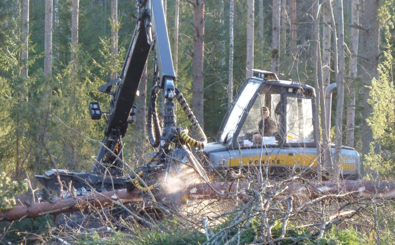 Poimintahakkuu Poimintahakkuussa on merkittävä jäävän puuston vaurioitumisriski. Hyvässäkin toteutuksessa osa pienemmistä puista ja alikasvoksesta vaurioituu.