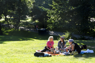 Tällä kertaa Kameraseuran aktiivijäsenen Mauno Pesosen studiolle Ullanlinnan KRISTIINA S K Viltillä kadulle.