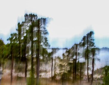Kurssit http://www.kamera-lehti.fi/kauppa/koulutus/ 12. ja 19.11.2016 Lightroom kurssi Lightroom ohjelman perusteet kuvien hallintaan ja käsittelyyn. 20.11.2016 ABC intensiivikurssi Kameran käytön perusteet aloittelijalle tiiviinä yhden päivän pakettina.