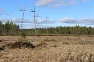110 KV SIIRTOLINJA LÄNSI-TOHOLAMMIN TUULIPUISTO LESTIJÄRVEN ASEMA, YMPÄRISTÖSELVITYS 22 110 KV SIIRTOLINJA LÄNSI-TOHOLAMMIN TUULIPUISTO LESTIJÄRVEN ASEMA, YMPÄRISTÖSELVITYS 23 Voimajohtoreitti