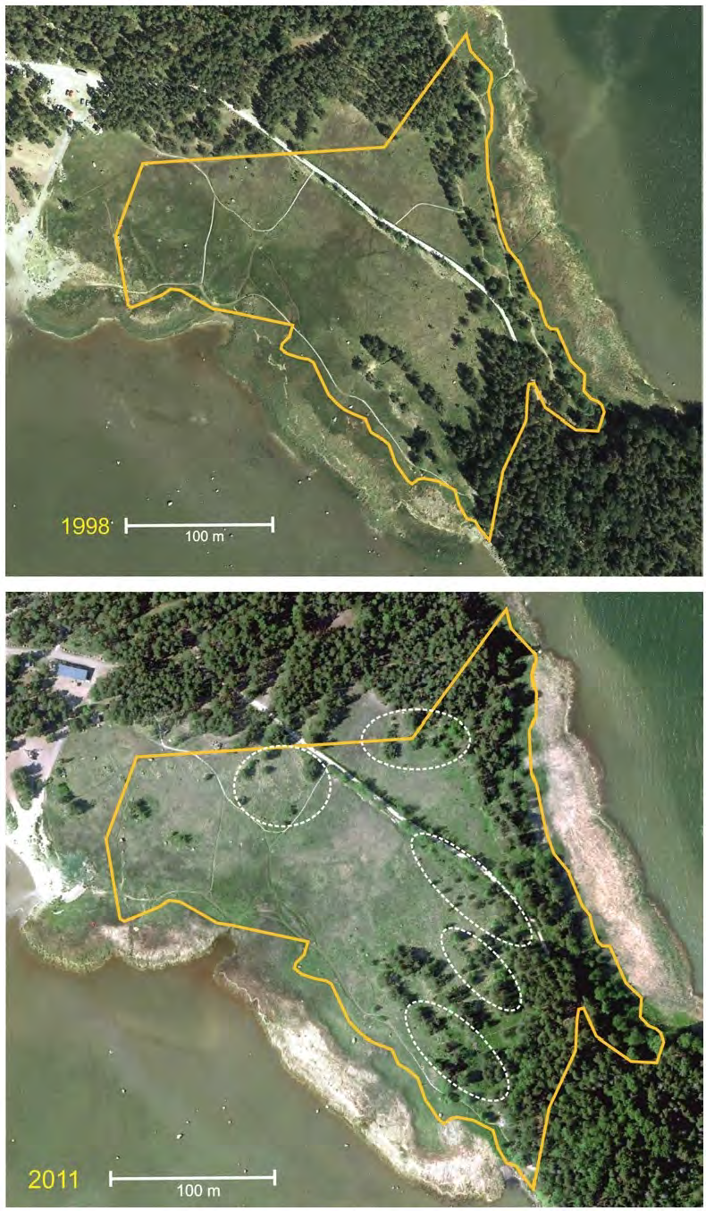 Kuva 1. Kallahden rantaniityn luonnonsuojelualue vuonna 1998 ja 2011.