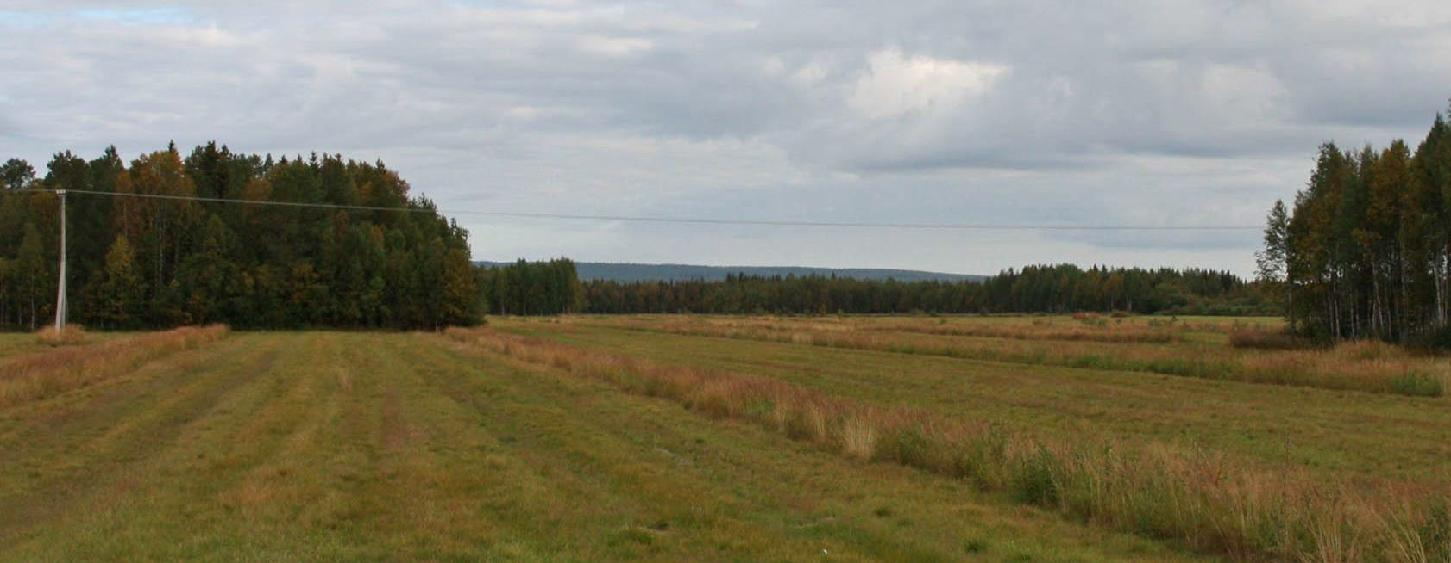 länsipuolella kulkevat Kemijokivartta pitkin Rovaniemen ja Kemin väliset
