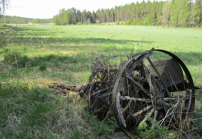 Tälläkin kunnostettavalla alueella on suositeltavaa tehdä ensin puuston raivaustöitä ja