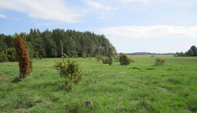 saaren laidunnettavaksi suunnitelluista alueista on rauhoitettu kymmeneksi vuodeksi luonnonsuojelulain (1096/1996) 25 :n mukaisesti (MRA203473).