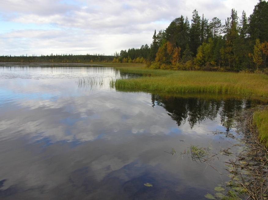 Laatumuuttujat: Vesikasvit Järvillä, jokivesille kehitteillä Pohjois- ja Etelä-Suomelle omat luokittelurajat Indikaattorit: Tyyppilajien