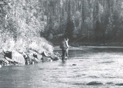 Eri näytealueiden välisiä tilastollisia eroja olisi pyrittävä testaamaan.