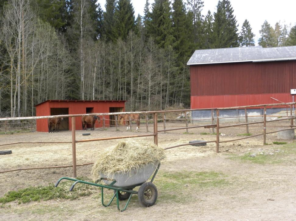 Työt tehdään pienryhmissä Maatilan töitä Kasvimaan hoitoa Omenapuut ja pensaat