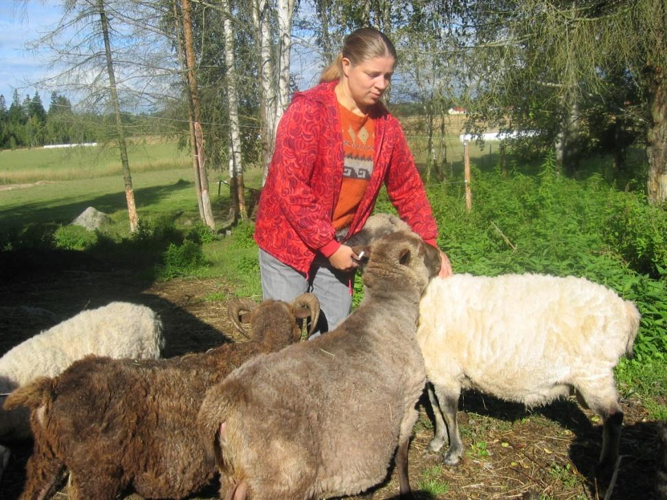 Esimerkkejä toimintamalleista Päivätoiminta Kuntouttava