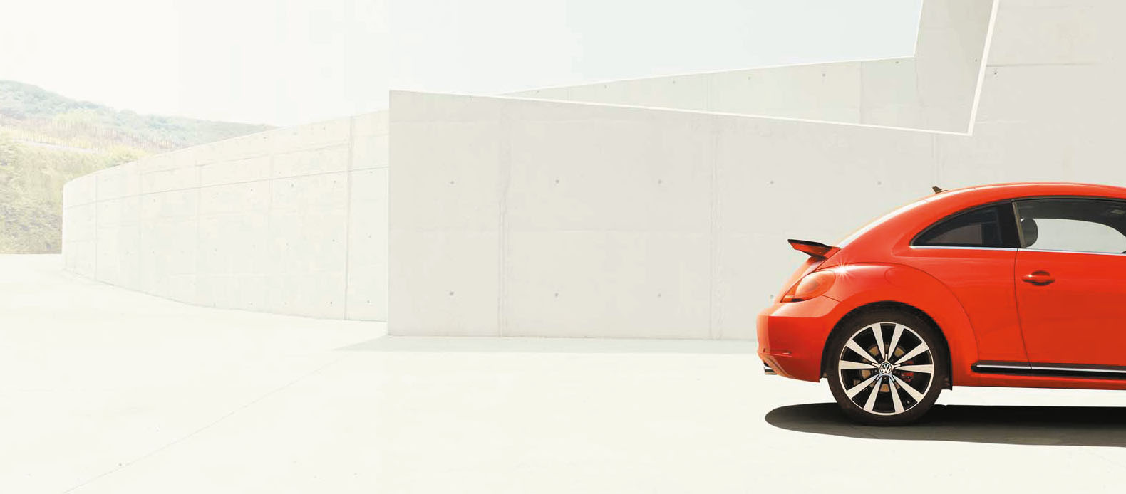 The Beetle -