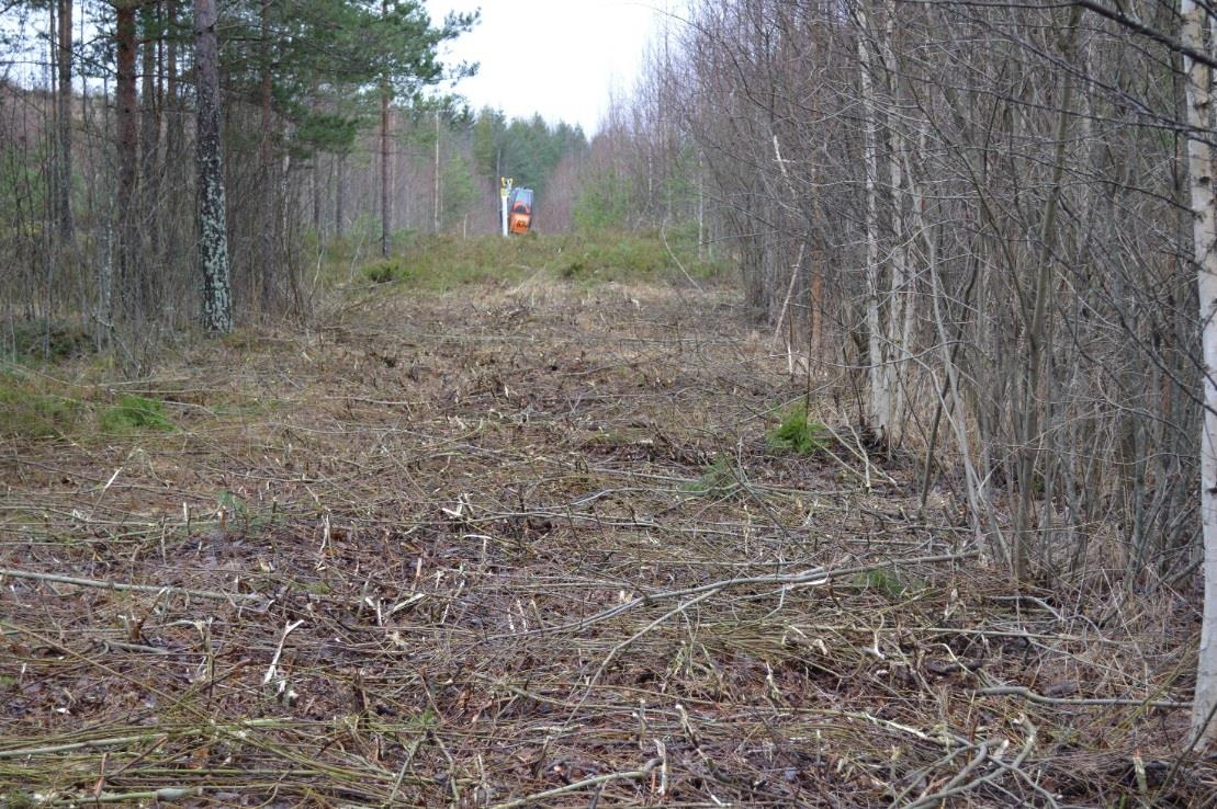 Jarcrac-telakoneen kokeilemista linjaraivaukseen pidettiin harkitsemisen arvoisena ajatuksena.