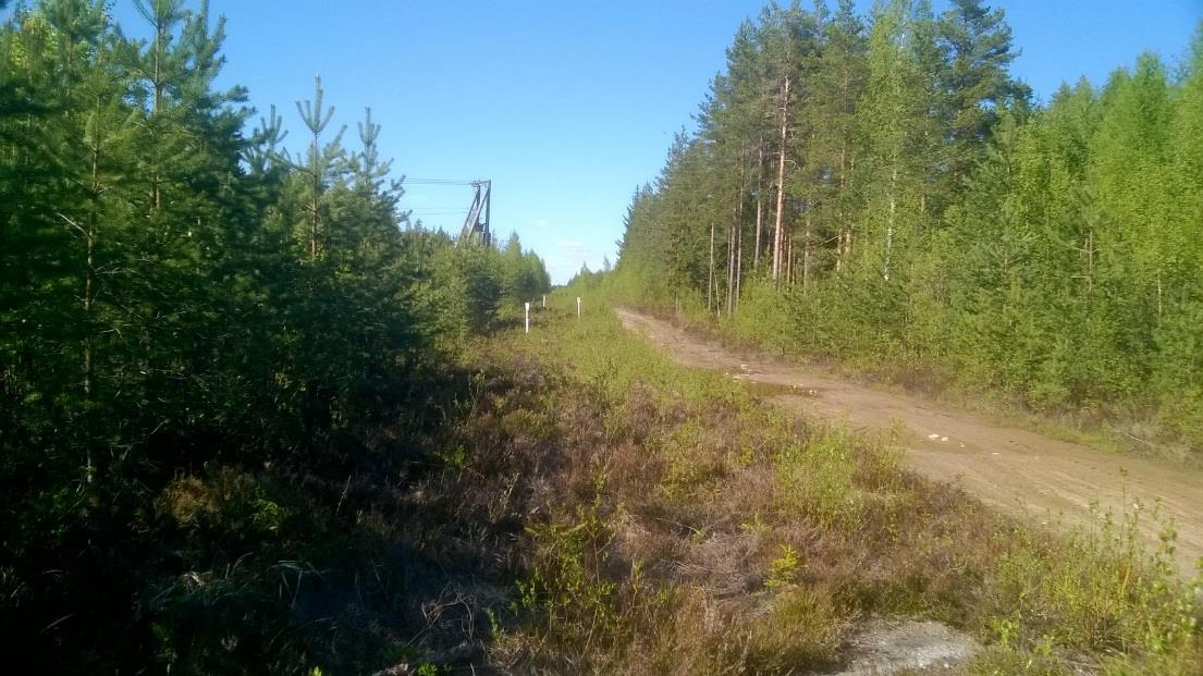 Ensimmäinen raivaus kaasuputkilinjoilla tehdään tavallisesti viisi vuotta putken asentamisen jälkeen, ja sen jälkeen raivausta tehdään 2 3 vuoden välein.