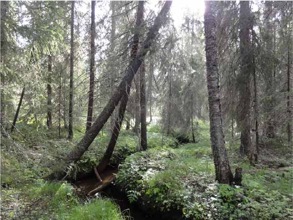 HANKEALUEEN NYKYTILA Hankealueen luoteispuolella noin 2 kilometrin etäisyydellä on Simojoki ja alueen kaakkoispuolella noin 2,5 kilometrin päässä Kuivajoki. Kuva 9.8.