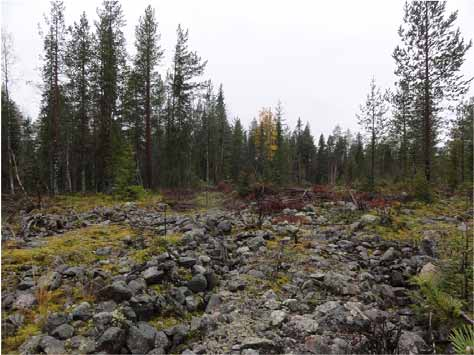 HANKEALUEEN NYKYTILA Kuva 9.14. Rakkakivikkoa Kotakankaalla. Karsikon hankealueella topografia vaihtelee pienipiirteisesti. Alueella on avokallioita, kivikkoisia kankaita sekä pienialaisia soita.