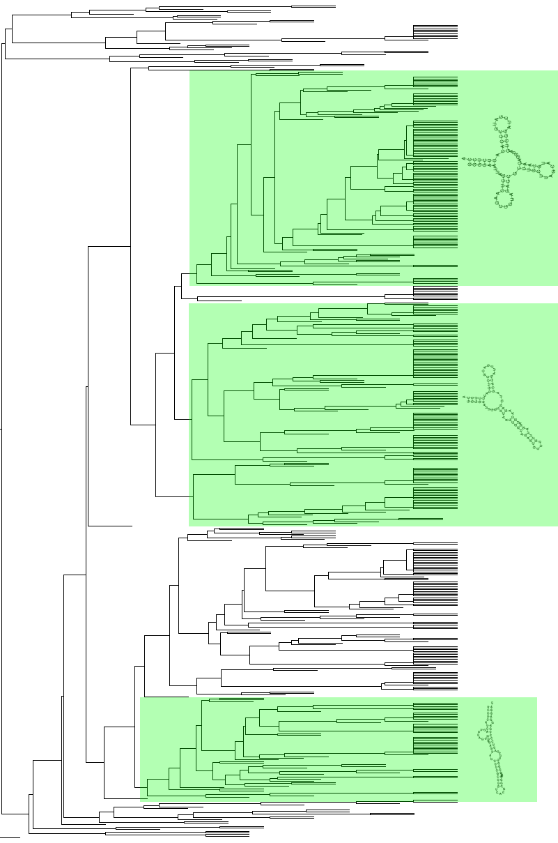 41 Kuva 11: dendrogrammi
