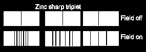 however, unable to explain the anomalous Zeemen effect the further splitting of lines -