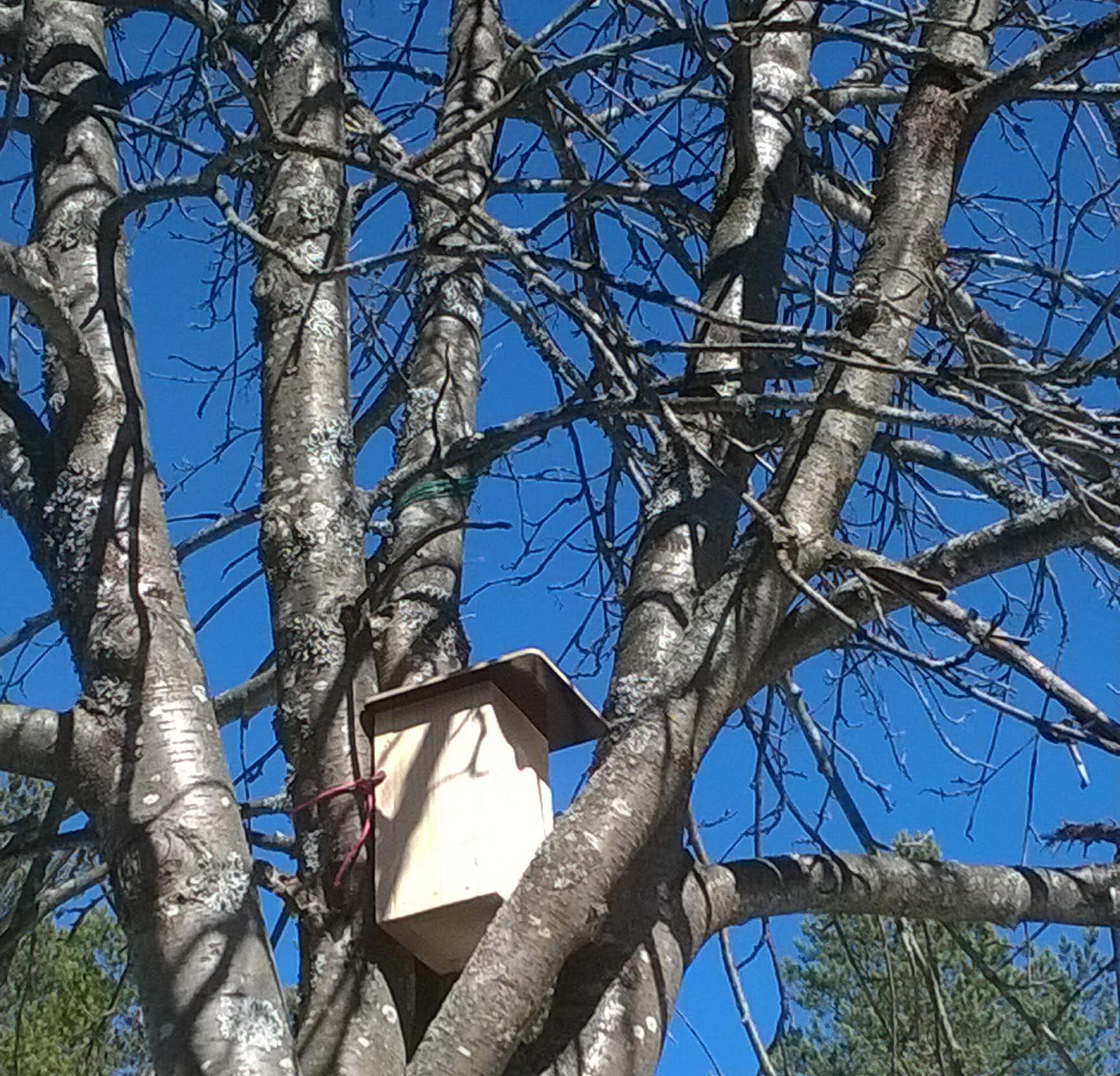 Nikulainen NIIRALAN KULMA OY:N ASUKASLEHTI 2.5.