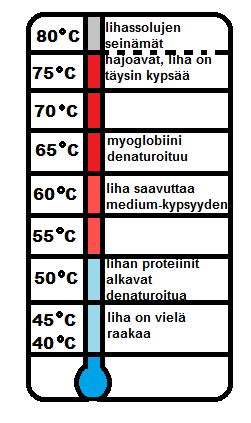 tä mureampaa, mitä pidempään sen lämpötila pysyy alle +55 C:ssa. +60 C:ssa suuri osa lihan proteiineista denaturoituu. Muutoksen huomaa lihan väristä.