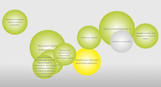 Palautepallomeren taustalla designpääkaupunkivuoden 2012 hanke Palautepallomeren ideointi ja suunnittelu WDC Helsinki 2012 -vuonna Fellmannian palvelumuotoilun arviointi -hankkeessa Tavoitteena