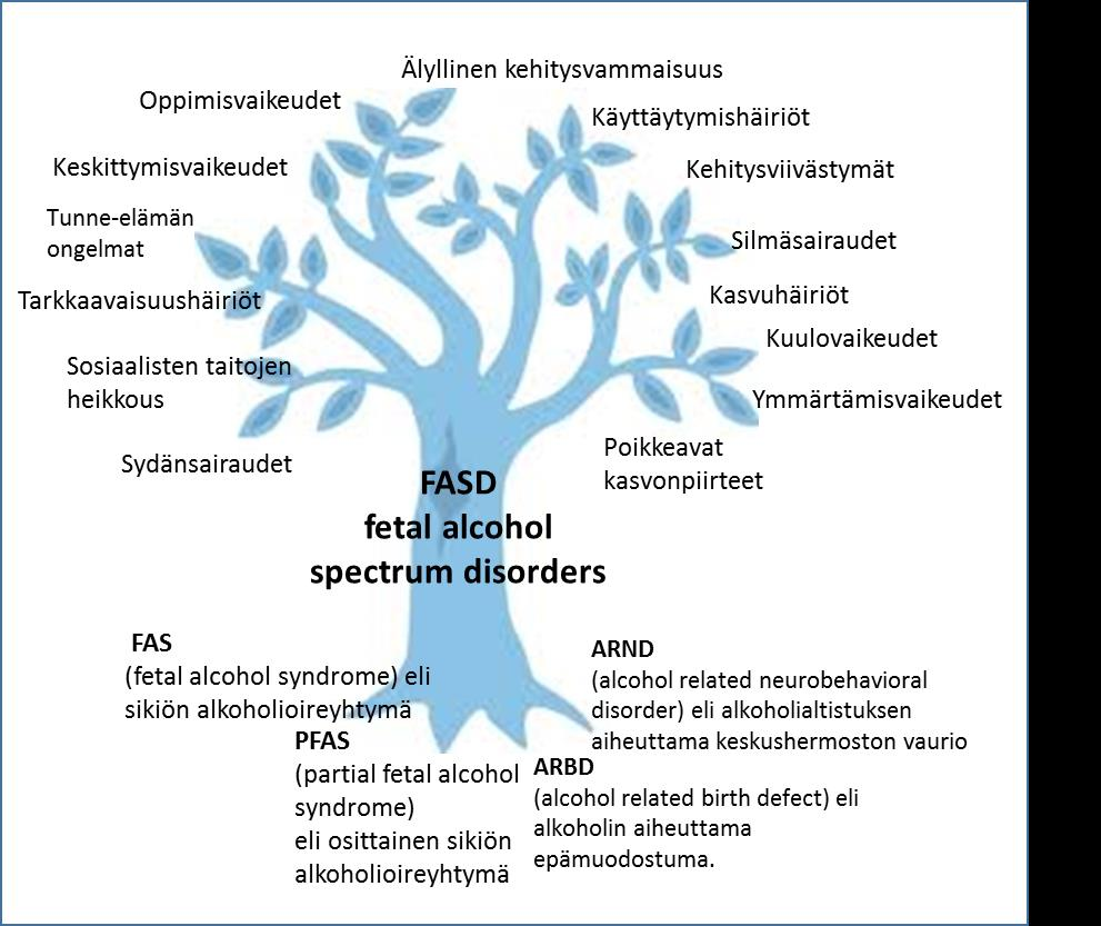 8 2 FASD 2.1 FASD-oireyhtymä FASD (fetal alcohol spectrum disorders) termillä tarkoitetaan äidin raskaudenaikaisen alkoholialtistuksen aiheuttamien oireyhtymien kirjoa.