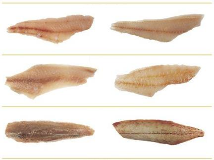 4 Kuva 1. Vaalealihaisia kaloja ei helposti erota toisistaan, kuvassa esimerkkeinä turska, meriahven ja valkotonnikala [21].