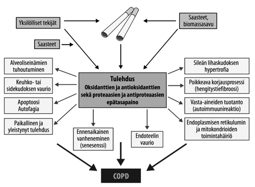 karjankasvatuksessa (Kiina, Meksiko) Doping-käry Katrin Krabbe ym.