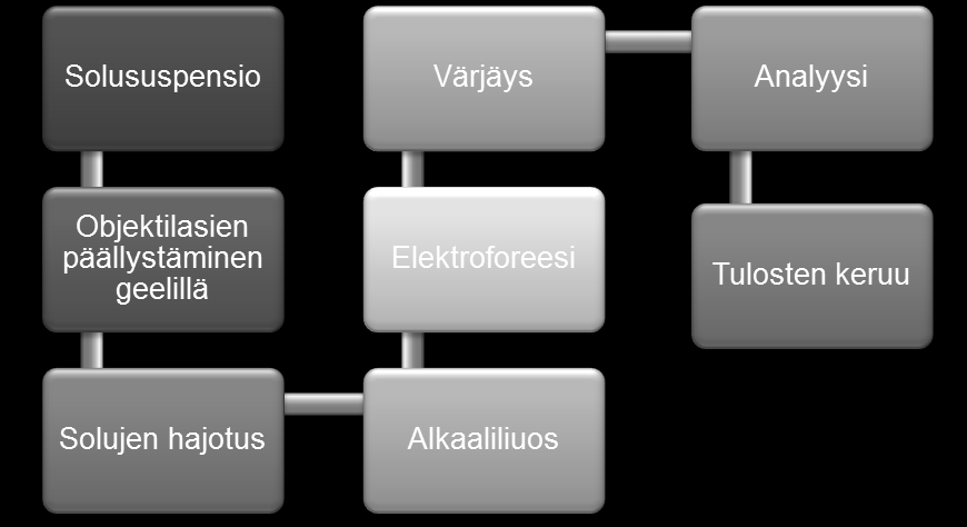 11 soluja vaurioittava vaikutus, voi myös aiheuttaa DNA-vaurioita ja näin ollen vääriä positiivisia tuloksia. (Catalán ym. 2014: 245.