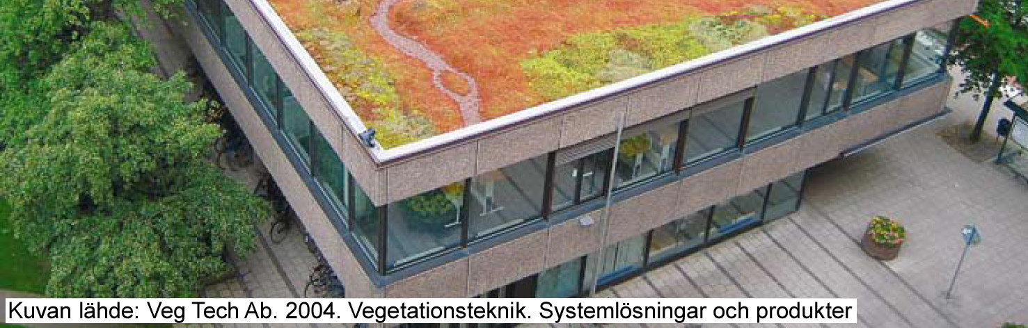 Laaja-alaisella kattokasvillisuudella pystytään vähentämään katoilta tulevien hulevesien vuotuista määrää n.