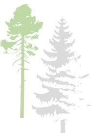 Esityksen sisältö Metsätalousalan strategiset vaikutukset ammatillisessa koulutuksessa Metsätalousalan muutostekijät