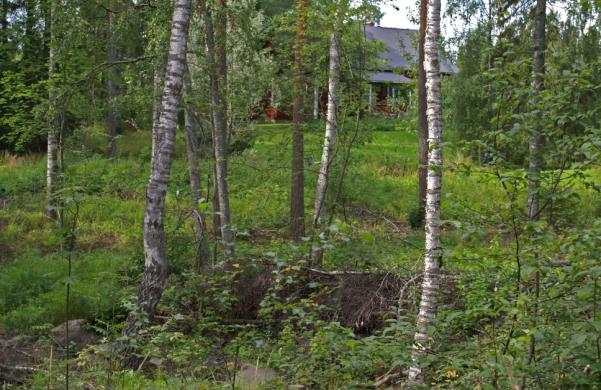 Kuvan etualalla virtaa Taviskärrin peltoaukiolta