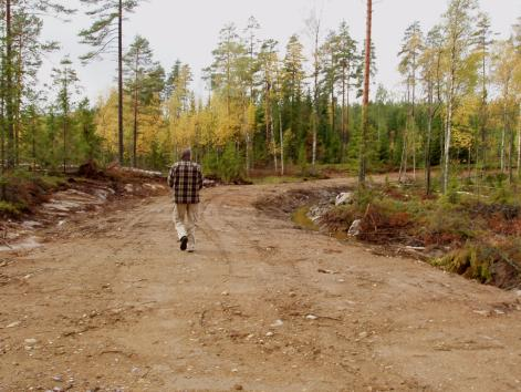 31 Kuva 16. Näkymä tilan 28:1 länsireunalta etelään.