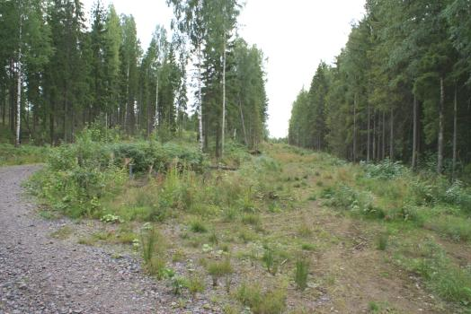 Kuvan oikeassa reunassa näkyy tilalla 8:26 olevaa metsää. Kuva 17. Tilan 28:1 eteläreunaa.