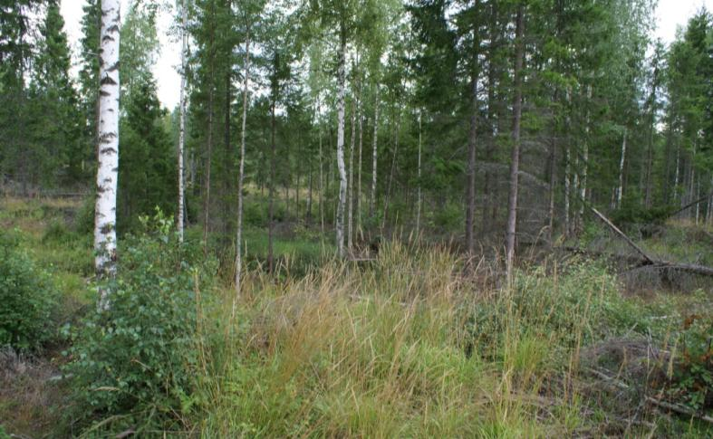 59 muinaisesineiden löytyessä. Toiminnassa noudatetaan tällöin myös muilta osin muinaismuistolaissa säädettyä. 6.