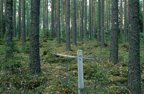 erilaisten käsittelyiden vaikutuksia esim.