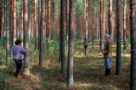 Kasvunäytteen tunnistetietojen