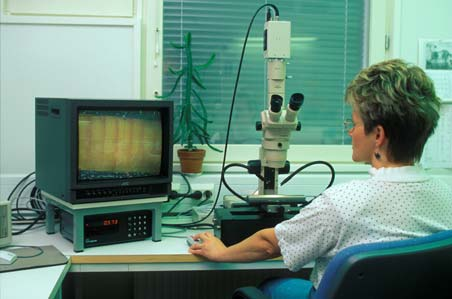 Kasvunäytteen mittaus laboratoriossa Mittaustiedon tilastolliset analyysit Tilastollisten testien avulla varmistetaan mittaustulosten luotettavuus ja yleistettävyys tutkittavaan ilmiöön vaikuttavat