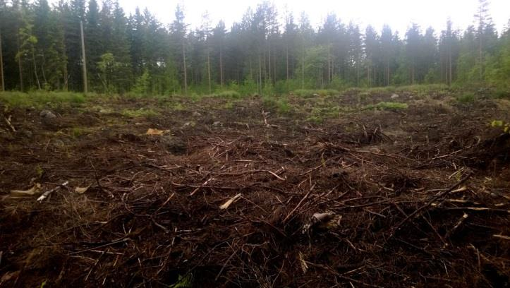 36 hetteikkö on ojittamaton. Vain eteläosan hetteiköstä on vedetty oja kohti Multamäen juurella kulkevaa ojaa, mutta laskuoja on kasvanut osin umpeen.