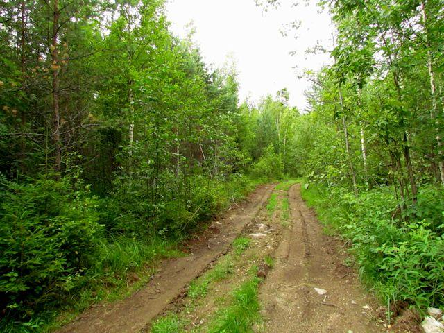 43 muodostavat maisemallisesti merkittävän kokonaisuuden. Neva on myös metsälain tarkoittama vähäpuustoinen suo. Em. syistä alue tulisi jättää nykytilaansa (Liitteet, Kartta 3.).