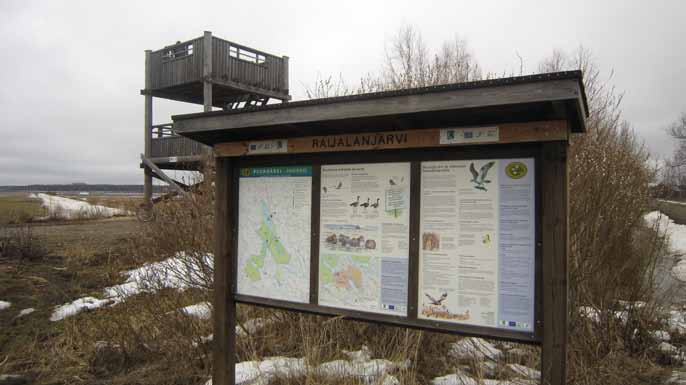 Raijalanjärvi Raijalanjärvi on hanhien, joutsenten ja kurkien suosima Huittisten vankilan omistama peltoalue.
